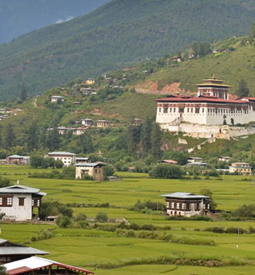 paro-view-zuri-Bhutan-all-travels-tours